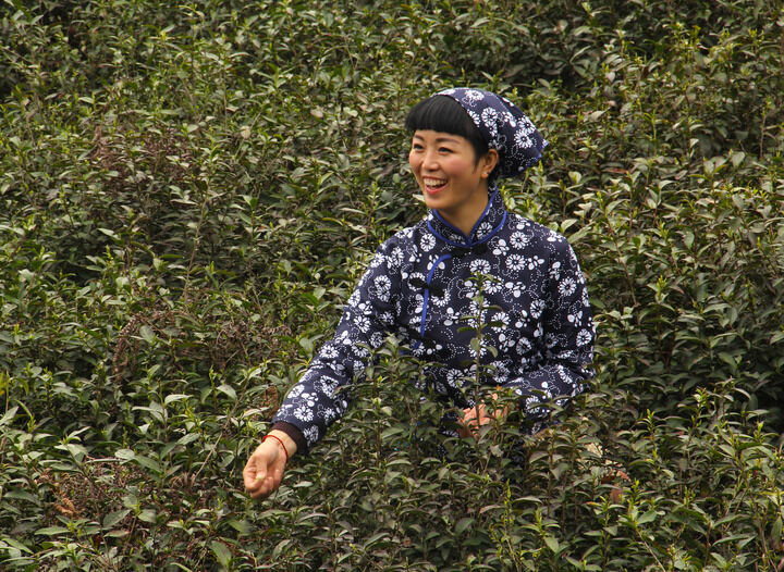 樱花谷热门2